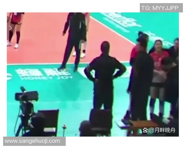 成都与南京排球队对决分析灵活性成胜负关键因素