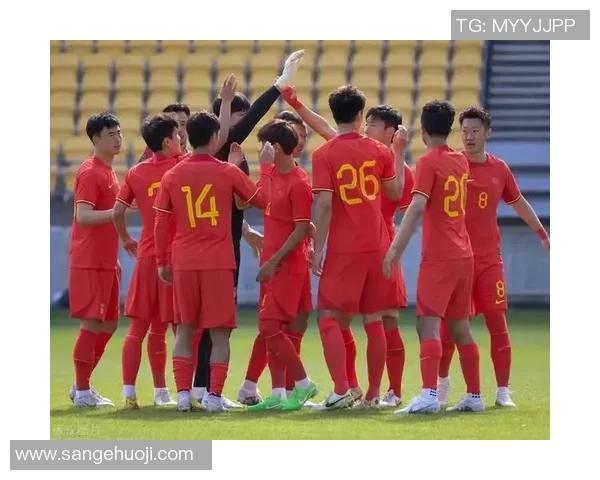 成都篮球队战术引发热议球迷与专家各抒己见探讨争议背后的原因